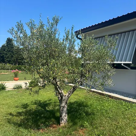 Apartmán Casa Del Laco
